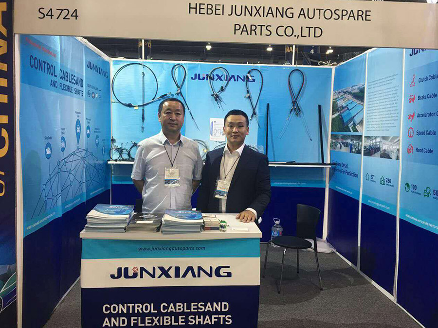 2017 Mexico exhibition